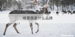 嗅蔷薇是什么品牌