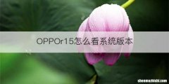 OPPOr15怎么看系统版本