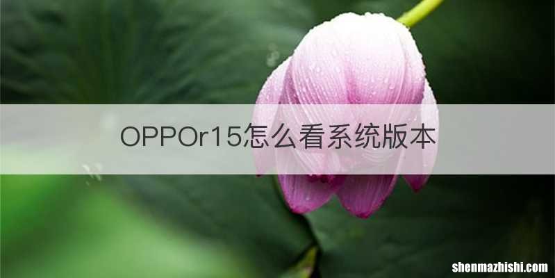 OPPOr15怎么看系统版本