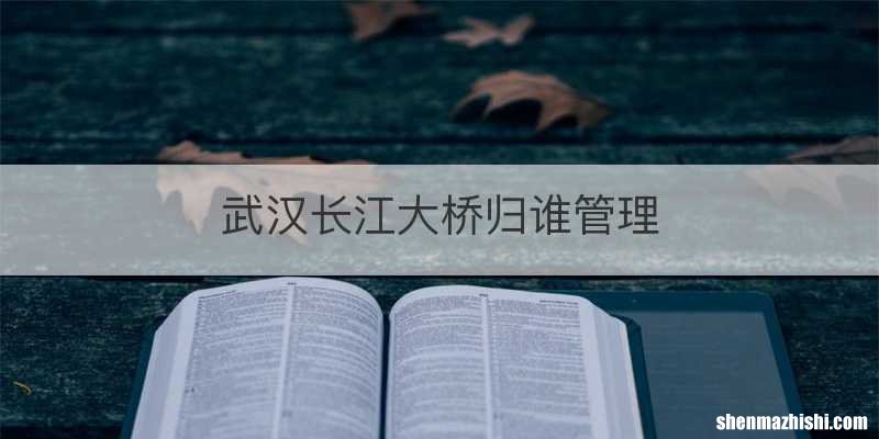 武汉长江大桥归谁管理
