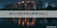 掌中之物陈禾果与傅慎行怎么了