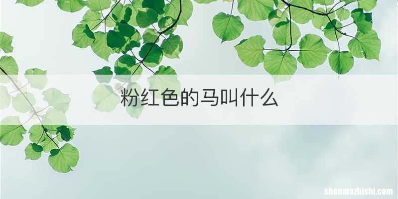 粉红色的马叫什么