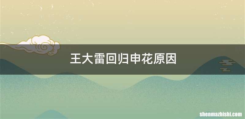 王大雷回归申花原因