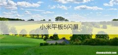 小米平板5闪屏