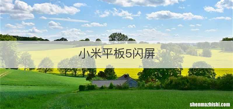 小米平板5闪屏