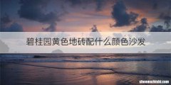 碧桂园黄色地砖配什么颜色沙发