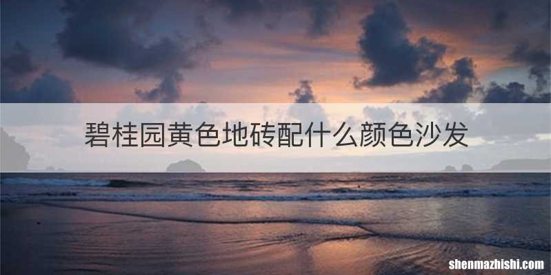 碧桂园黄色地砖配什么颜色沙发