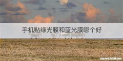 手机贴绿光膜和蓝光膜哪个好