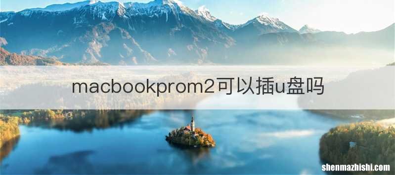 macbookprom2可以插u盘吗