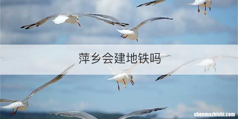 萍乡会建地铁吗