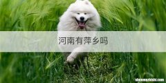 河南有萍乡吗