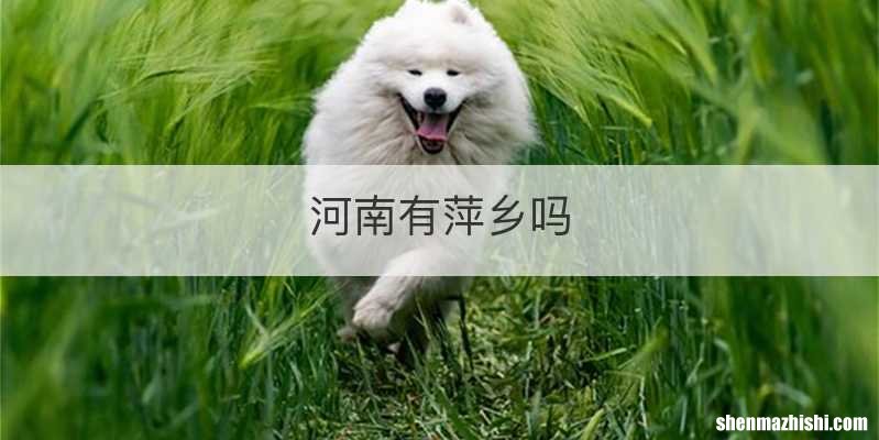 河南有萍乡吗