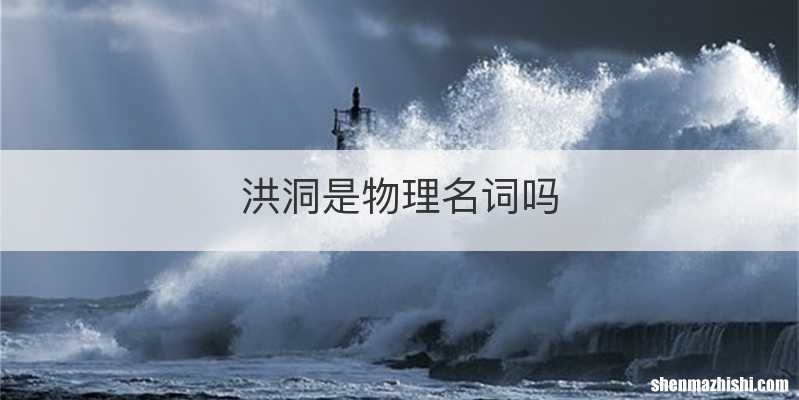 洪洞是物理名词吗