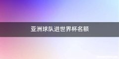 亚洲球队进世界杯名额