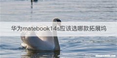 华为matebook14s应该选哪款拓展坞