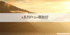 x系列Pro+哪款好