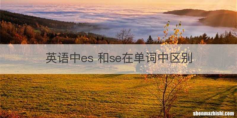 英语中es 和se在单词中区别