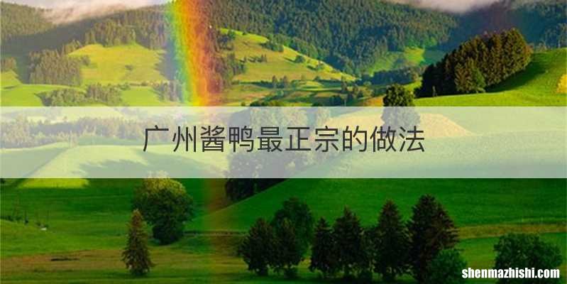 广州酱鸭最正宗的做法