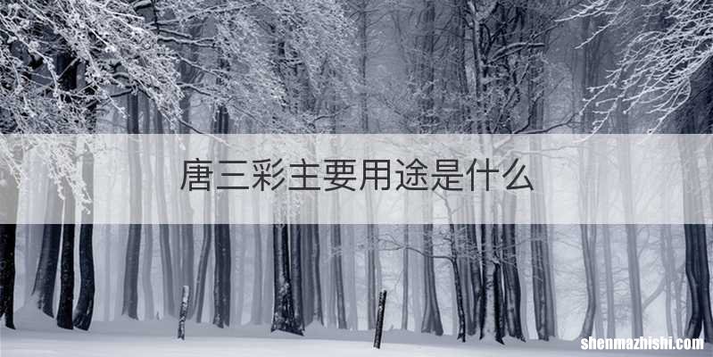 唐三彩主要用途是什么