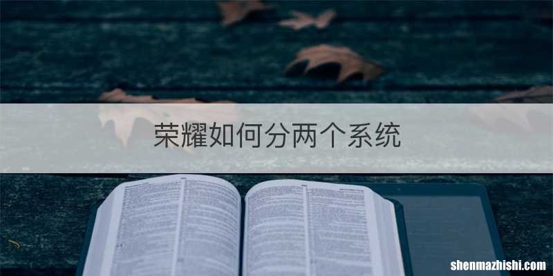 荣耀如何分两个系统