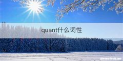 quant什么词性
