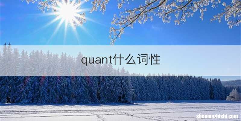 quant什么词性
