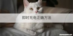 即时充电正确方法