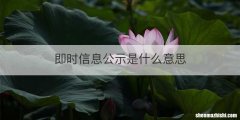 即时信息公示是什么意思