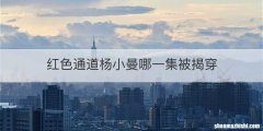 红色通道杨小曼哪一集被揭穿