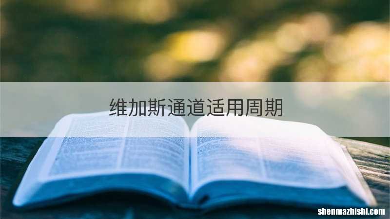 维加斯通道适用周期