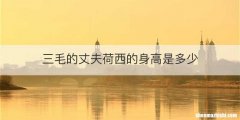 三毛的丈夫荷西的身高是多少