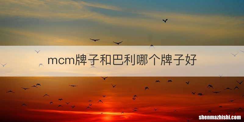 mcm牌子和巴利哪个牌子好