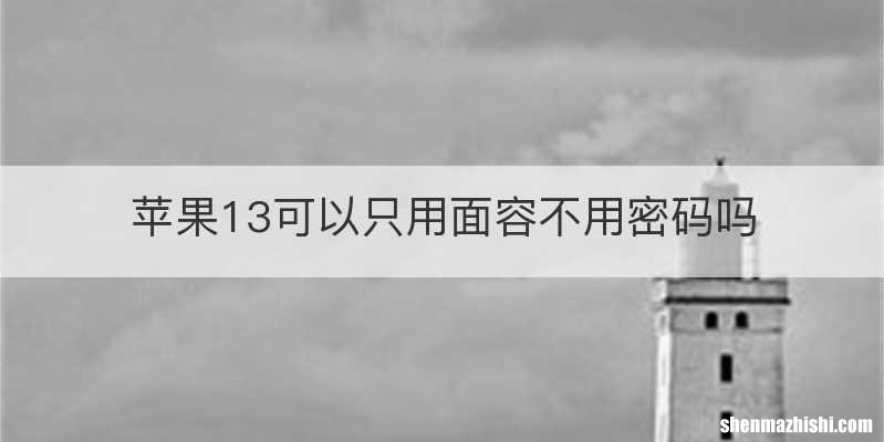 苹果13可以只用面容不用密码吗