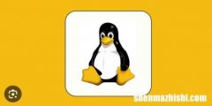 什么是Linux以及如何快速上手