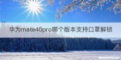 华为mate40pro哪个版本支持口罩解锁