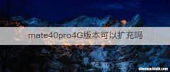 mate40pro4G版本可以扩充吗