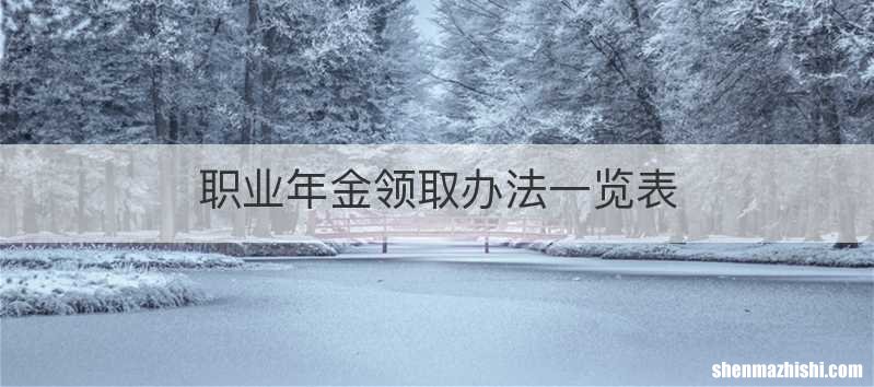 职业年金领取办法一览表