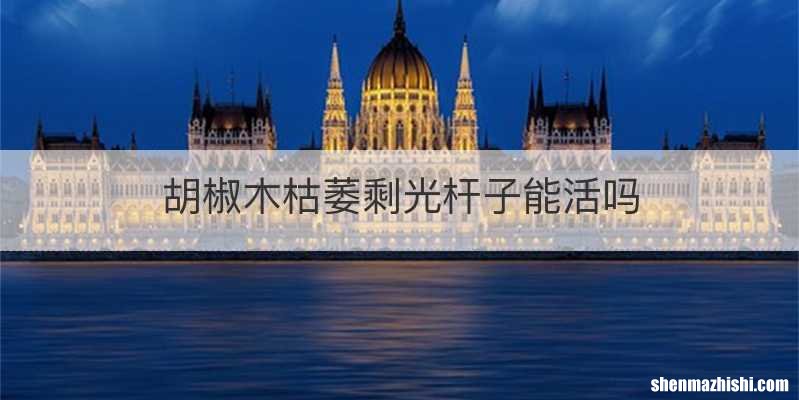 胡椒木枯萎剩光杆子能活吗