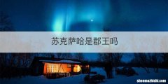 苏克萨哈是郡王吗