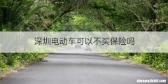 深圳电动车可以不买保险吗