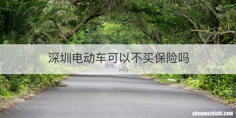 深圳电动车可以不买保险吗