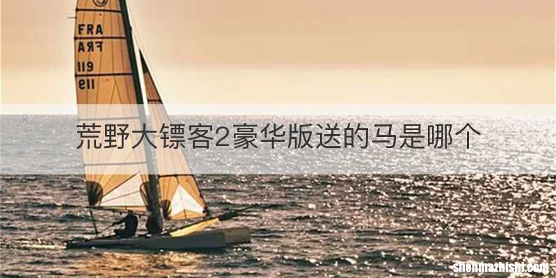 荒野大镖客2豪华版送的马是哪个
