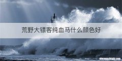 荒野大镖客纯血马什么颜色好