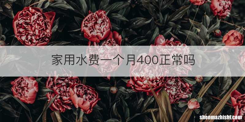 家用水费一个月400正常吗
