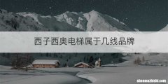 西子西奥电梯属于几线品牌