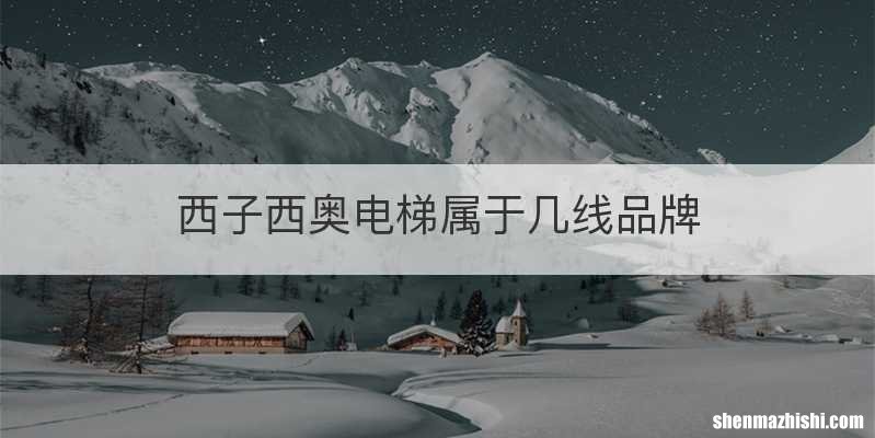 西子西奥电梯属于几线品牌