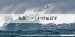 花西子m1314颜色测评