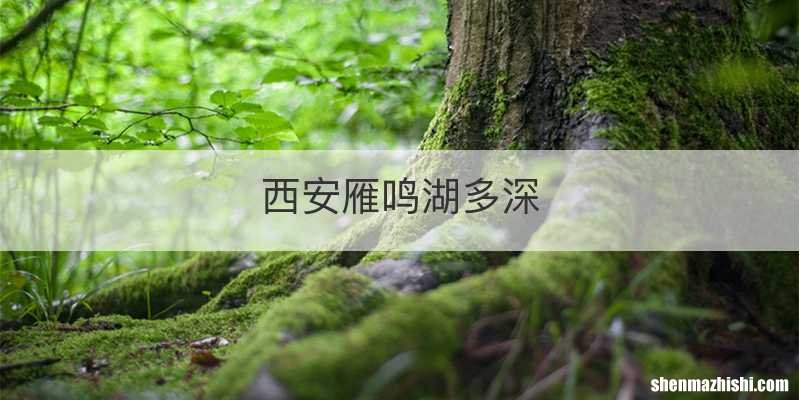 西安雁鸣湖多深