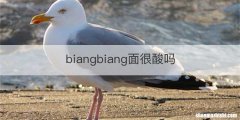 biangbiang面很酸吗
