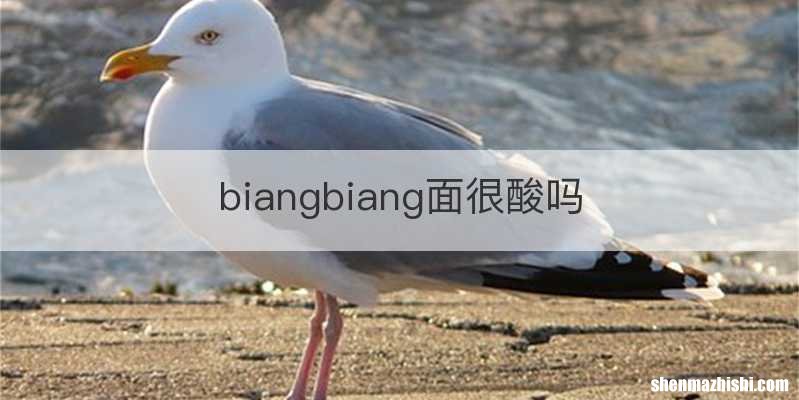 biangbiang面很酸吗